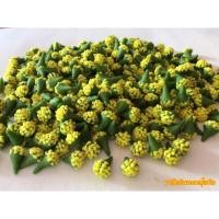 ราคา ดอกผกากรองร้อยมาลัย ดอกไม้ปั้นประดิษฐ์ดินไทย (2302265913)