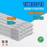 ราคา ยกลัง30หลอดTubeT8 หลอดแก้ว18W 120cm ไฟฟ้าบ้าน 220V LN เข้าคนละข้าง ขั้วG13 LED หลอดแก้ว (25459917344)