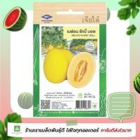 ราคา เมล่อน รักบี้บอล เจียไต๋ เมล็ดพันธ์เมล่อน เมล็ดเมล่อน (866456513)