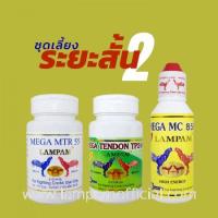 ราคา ชุดเลี้ยง สูตรเลี้ยงระยะสั้น 2 #ยาไก่ #ไก่ชน #ยาไก่ชน #ลำปำ #ของแท้100% #สต็อคจากบริษัทโดยตรง (2759623380)