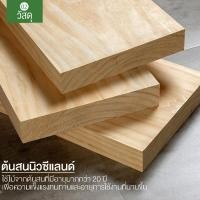 ราคา ✜✥✳ที่แขวนกระเป๋า ที่แขวนเสื้อ ที่แขวนผ้า ที่แขวน ที่แขวนหมวก ราวแขวนหมวก ราวแขวนเสื้อผ้า Coat Rack Nananatural (16030147498)