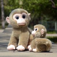 ราคา ✅น่ารักตาใหญ่จำลองลิงตุ๊กตาของเล่นตุ๊กตาลิงตุ๊กตาสำหรับเด็กของขวัญวันเกิด (17317369478)