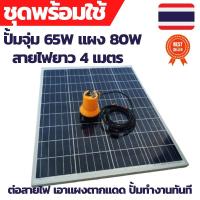 ราคา ปั้มน้ำโซล่าเซลล์ ปั้มโซล่าเซลล์ 12V ปั้มโซล่าเซลล์ dc โซล่าเซลล์ปั้ม ปั้มจุ่มโซล่าเซลล์ ปั้มโซล่า ชุดสำเร็จ ชุดพร้อมใช้ (20439031064)