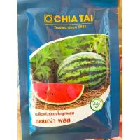 ราคา แตงโมลูกผสม ซอนญ่าพลัส ขนาด 40 กรัม ผิวลาย เนื้อแดง ตลาดนิยม (28375905888)