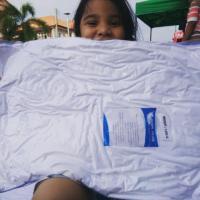 ราคา หมอนขนห่านเทียม (1668567396)