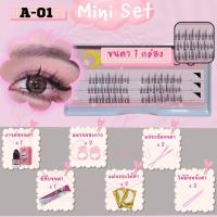 ราคา เซตขนตาปลอมพร้อมต่อ ขนตาแบบช่อ ขนตาสายฝอ ขนตาเกาหลี อุปกรณ์พร้อมต่อ ขนตาปลอม เซตต่อขนตา เซตต่อขนตาถาวร เซตต่อขนตาเอง (22028532850)