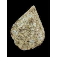 ราคา พระพิมพ์กลีบบัวหลวงปู่ดู่เนื้อปูนผสมผงพุทธคุณ (23590511050)