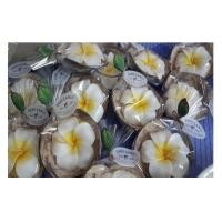 ราคา เทียนหอมดอกลีลาวดีในกะลา ลอยน้ำได้ 1 ถ้วย (3843002735)