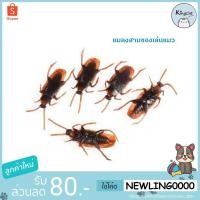 ราคา แมลงสาบปลอมของเล่นหลอกแมว แพค 6 ตัว (1395326502)