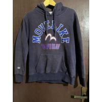 ราคา เสื้อฮู้ด Champion x Evisu (28582970754)