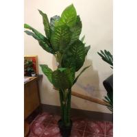 ราคา Tree ต้นไม้ปลอม ต้นสาวน้อยปะแป้งสูง 180 เซนติเมตร ของตกแต่งบ้าน ต้นไม้ประดิษฐ์ (27554423352)