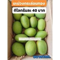 ราคา มะม่วงกะล่อนทอง ส่งแบบดิบ หอม หวาน ชื่นใจ กิโลกรัมละ40บาท (สดใหม่เก็บจากสวน) (3488593213)