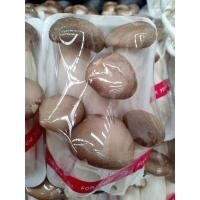 ราคา สดจากสวน เห็ดแพค เห็ดหอมสด เห็ดออรินจิ เห็ดชิเมจิขาว เห็ดชิเมจิดำ เห็เข็มทอง ราคาถูก ที่สุด ราคาส่ง (26489476666)