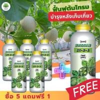 ราคา ปุ๋ยน้ำสูตร 21-3-3 ( ซื้อ 5 แถมฟรี 1 ขวด ) ตราเทพมงคล เร่งดอก เร่งใบ เร่งโต ฟื้นฟูต้นโทรม #สูตรปุ๋ยเร่งต้นไม้ให้โตเร็ว (29961742085)