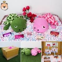 ราคา เซ็ตเซอร์ไพรส์ เม็ดโฟมคละสี ตุ๊กตาคู่รักเต่าแซมมี่ ผ้าT-cot size10นิ้ว กล่องฝาเปิดขนาดครึ่งเอ ของขวัญเซอร์ไพรส์ (1656906960)