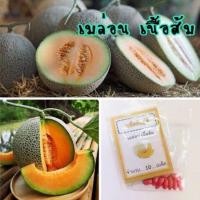 ราคา เมล็ดพันธุ์ ผัก เมล่อนเนื้อส้ม เมล่อน (10แถม1คละอย่างได้) (4132245252)
