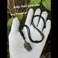 ราคา สร้อยคอหินฟอสซิลพิษงู (เสื้อผ้าของเรื่อ) (27622806157)