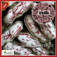 ราคา 1 กก. เมล็ดพันธุ์ถั่วลิสงลายเสือ ถั่วราชินี ถั่วลิสงราชินี (4040896148)
