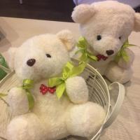 ราคา ตุ๊กตาหมี Teddy bear (1731952548)