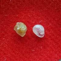 ราคา พระธาตุ พระครูสิงหวิชัย ครูบาสิงห์ สิริวิชโย วัดพันตอง วัดฟ้าฮ่าม (รหัส E3/5) (41552366298)