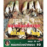 ราคา หน่อกล้วยน้ำว้าปากช่อง50 ราคาหน่อละ30บาท (4253816010)