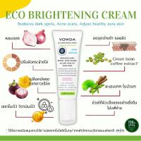 ราคา ECO BRIGHTENING CREAM 50 ml (21585890166)