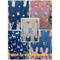 ราคา ผ้าห่มนาโน 4 ฟุตพร้อมกระเป๋า (29985786084)