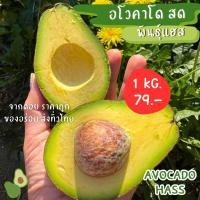 ราคา Hass =1กิโลกรัม= อโวคาโด้พันธ์ุเเฮส Avocado อโวคาโด ราชาอโวคาโด อโวคาโด้ อโวคาโด อโวคาโด อโวคาโด้ อโวคาโด้ อโวคาโด (41255398914)