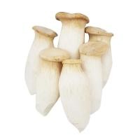 ราคา ก้อนเพราะเลี้ยงเห็ดออรินจิ (28121195253)