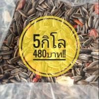 ราคา SALE เมล็ดทานตะวัน รสพุทรา/วอลนัท ขนาดจัมโบ้เม็ดใหญ่พิเศษ5กิโล (5813119623)