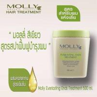 ราคา มอลลี่ เอเวอร์ลาสติ้ง เอ็นด์ส ทรีทเม้นท์ 500ml. (29405617920)
