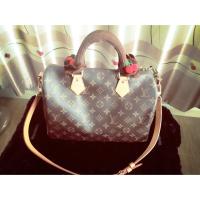 ราคา กระเป๋าLouis vuitton speedy 30' (47498512)