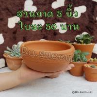ราคา กระถางดินเผา สวนถาด 5 นิ้ว ไม้อวบน้ำแคคตัส ปลูกฮาโวเทีย ใส่ต้นไม้จิ๋วเล็ก เครื่องปั้นดินเผา ของแต่งบ้าน จัดสวน (14757536132)