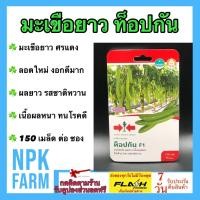 ราคา ศรแดง มะเขือยาว ท๊อปกัน ผักซอง จำนวน 150 เมล็ด ผลสีเขียวเข้ม ทนโรคดี ผลยาว เนื้อผลหนา รสชาติหวาน (26974225633)