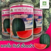 ราคา กินรี เอ็กตร้า แตงโม 40กรัม ตราตะวันต้นกล้า กินรี เอ็กซ์ตร้า extra เมล็ดแตงโม แตงโมเอ็กตร้า (6705787794)