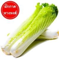 ราคา ผักกาดหางหงส์ถูกที่สุด10บ.เมล็ดพันธุ์ผักกาดหางหงส์ 100เมล็ด☘️ปลูกง่าย☘️ขึ้นไว☘️หัวใหญ่☘️ทานอร่อย (10591942888)