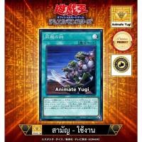 ราคา ยูกิสามัญ-ยูกิใช้งาน 030 (SR) [Yu-Gi-Oh! การ์ดยูกิแท้ yugiแท้ ] " Ties of the Brethren / 同胞の絆 QCCU-JP197" (25890917795)