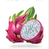 ราคา กิ่งพันธุ์แก้วมังกรสีขาว10กิ่ง110$ (7818628925)