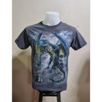 ราคา เสื้อยืดมือสอง ลายมังกร แบรนด์แท้ (22079207246)