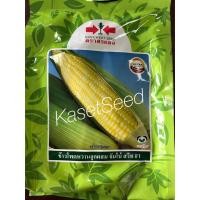 ราคา เมล็ดพันธุ์ ข้าวโพดหวาน จัมโบ้ สวีท ศรแดง ข้าวโพด 1กก (2078472981)