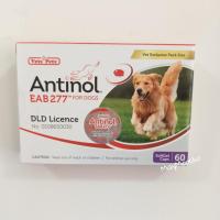 ราคา Antinol บำรุงข้อสุนัข 1 กล่อง 60 เม็ด exp.06/2024 แอนทินอล แอนตินอล แอนตีนอล (20374647879)