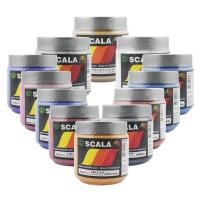 ราคา สีสกรีนเสื้อ สียาง สีเงินยางลอย สีทองยางลอย สีและลอยขาว ขนาด 0.5 กก. Scala (3718951210)