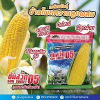 ราคา เมล็ดพันธุ์ข้าวโพดหวานลูกผสม ซันสวีท 05 (ตราตะวันต้นกล้า) (8729469770)