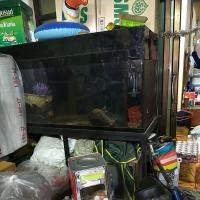 ราคา ขายตู้ปลาขนาดใหญ่สนใจโทร0868909742 (9726713894)