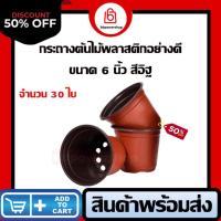 ราคา (สีอิฐ) กระถางพลาสติกสีอิฐ 6 นิ้ว กระถางปลุกต้นไม้ ปลูกแคนตัส ปลูกกระบองเพชร ปากกว้าง 6 นิ้ว (18777465540)