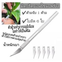 ราคา มีดกรีดมะพร้าวบอนไซมีด้ามพร้อมใบมีด 6 ใบมีดแต่งมะพร้าวมีดแกะสลัก (8386898581)