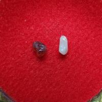 ราคา พระธาตุ หลวงพ่อสุดใจ​ ทันตมโน​ วัดป่าบ้านตาด (รหัส A4/10) (26500671790)