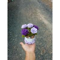 ราคา ดอกกุหลาบไหมพรม สีม่วงเข้ม สีม่วงอ่อน ,ดอกกุหลาบในกระถาง (24736590225)