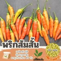 ราคา เมล็ดพันธุ์ พริกส้มสั้น แบ่งขาย 80 เมล็ด (ซื้อ 5 แถม 1) (29404164769)