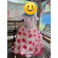 ราคา ชุดลิเก ชุดหมอลำ ผูหญิง กระโปรงบาน กระโปรงลิเก (22363657405)